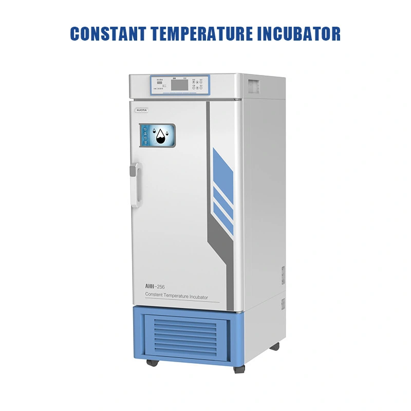 Chinese Factory Price Laboratory Air Mould Lab Incubator 100L Electric Incubators Temperature Incubator