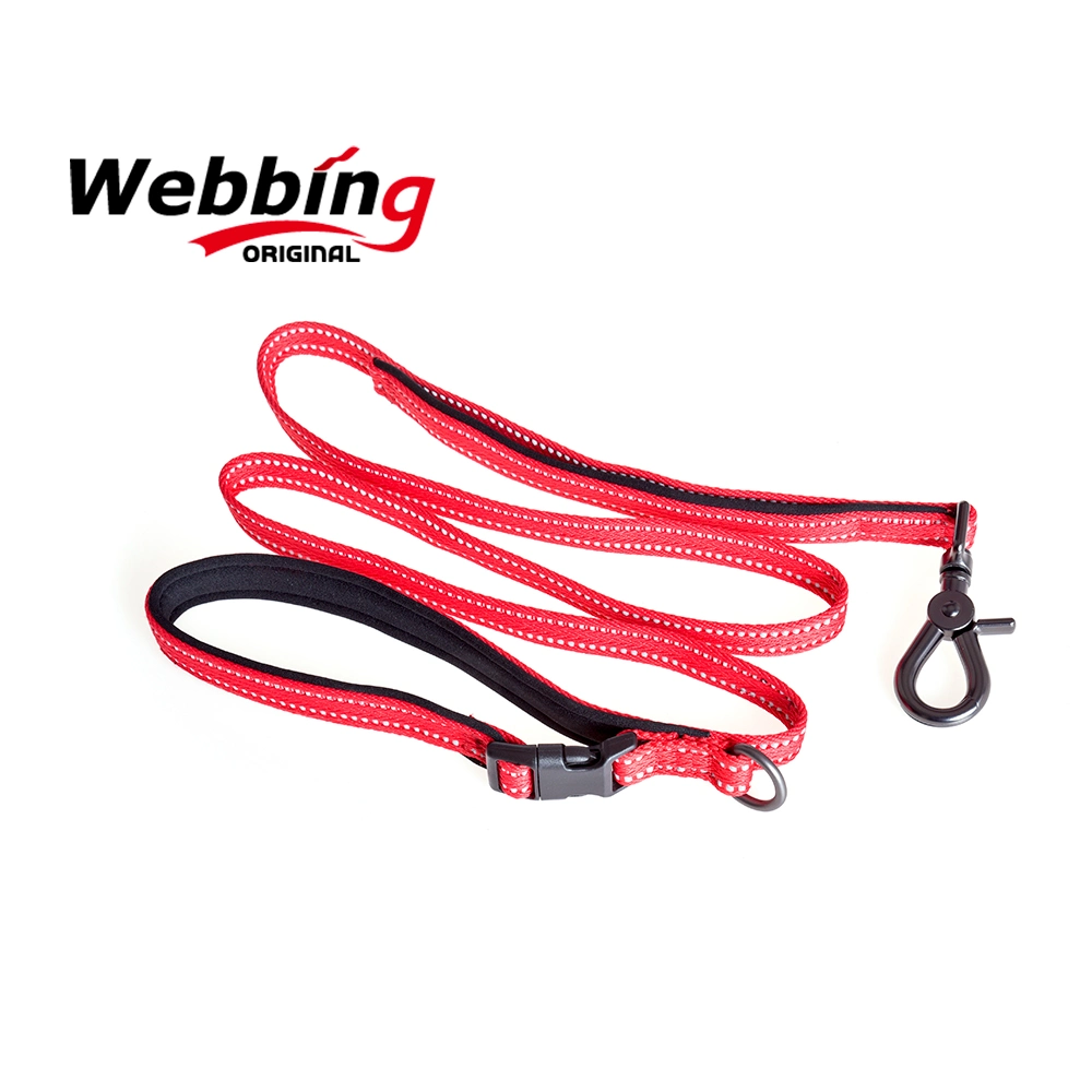 Original Webbing High quality/High cost performance -Assured Custom Pet Leash Bite Proof Stainless Buckle Dog Collar Leash & Collar for All Size Dog
