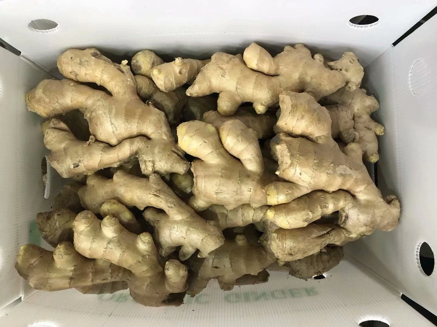 Chinese Selected Organic Yellow Air Dry Ginger Fresh Ginger Organic Garlic