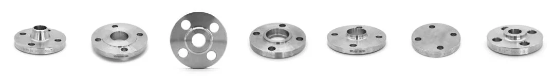 Forged Stainless Steel RF FF So/Thread/Welding Neck/Blind/Lap Joint Flange According to ANSI DIN En1092-1 GOST