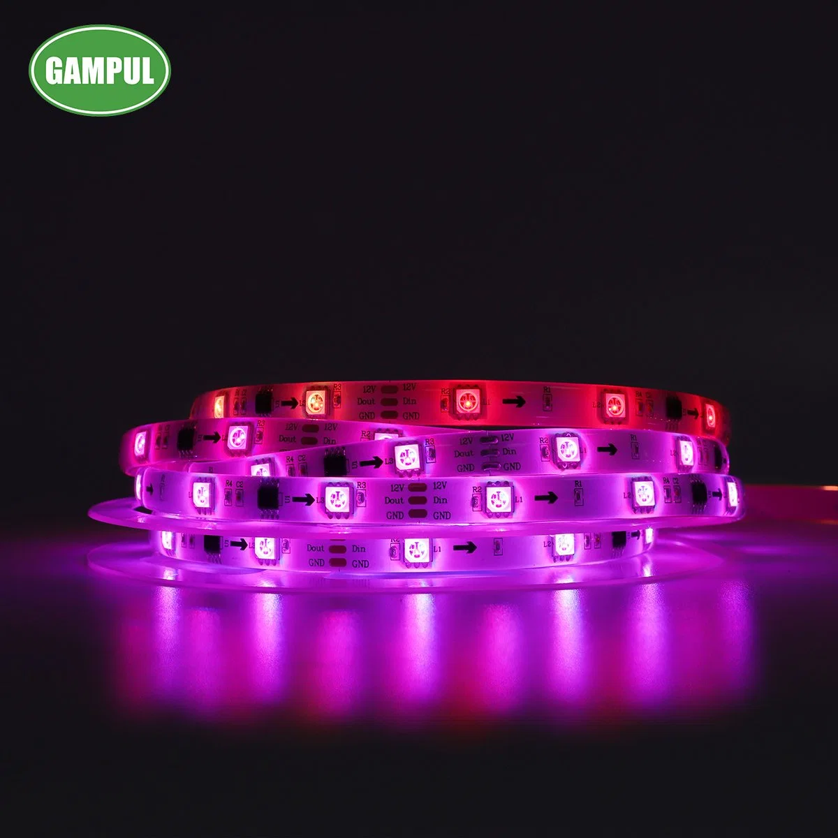 Original Factory Directly Sell Flexible Smart Music Chasing RGB Tape Lighting for Christmas Decorations