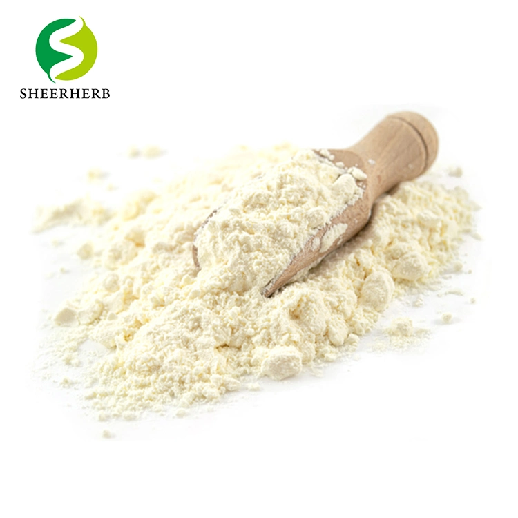 Egg-White Albumen Powder Unflavored Egg White Protein Powder Egg White Powder