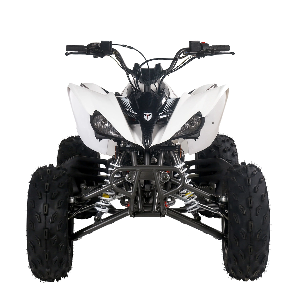 Four Stroke 125cc ATV off Road Sport Quad Bike