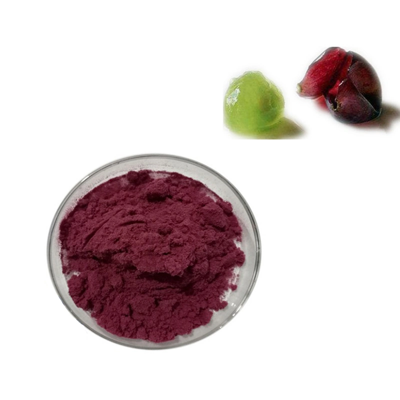 Extrait de la peau du raisin raisin/en poudre pigment rouge de la peau