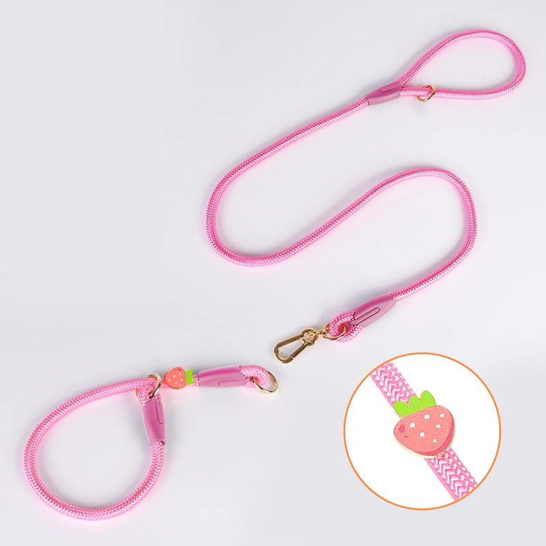Pet Chain Nylon Rope Dog Leash Collar Set Activity Slid Lead Dog Leash for Pet
