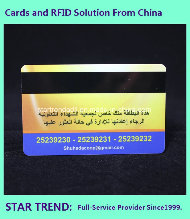 Plastic Loyalty Card with Magnetic Stripe (ISO 7811) for Club Member