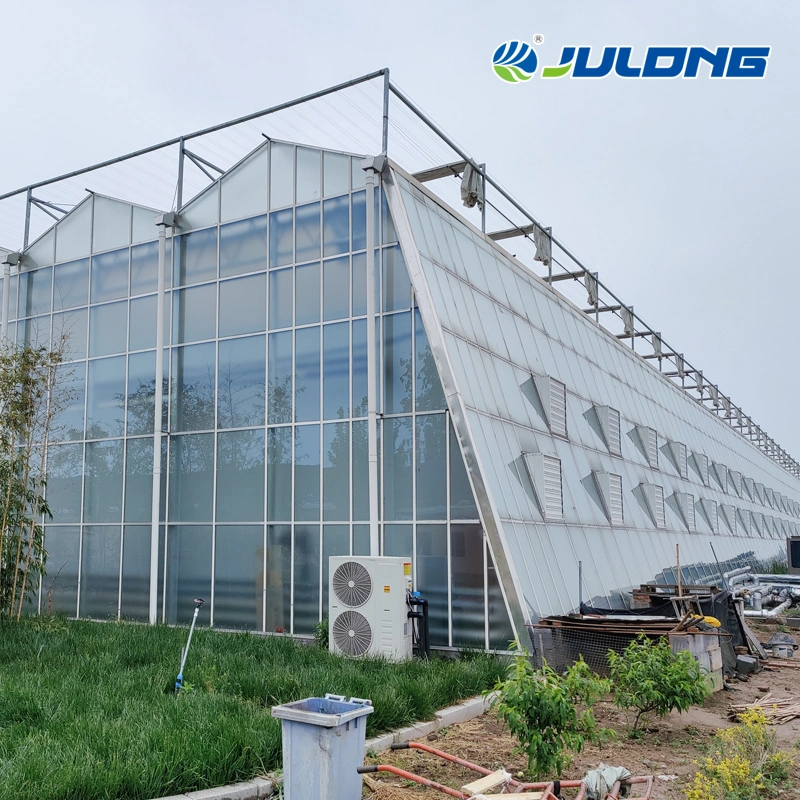 Light Steel Structure Multi Span Greenhouse with European Standards Design