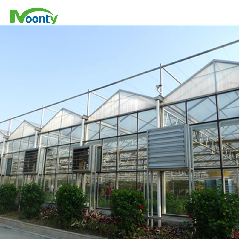 China personaliza Multispan PC Sheet Greenhouse para el proyecto Turnkey