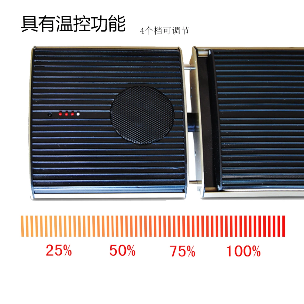 New Outside Electric Heater Top Rank Room Heater for Heating with Speaker