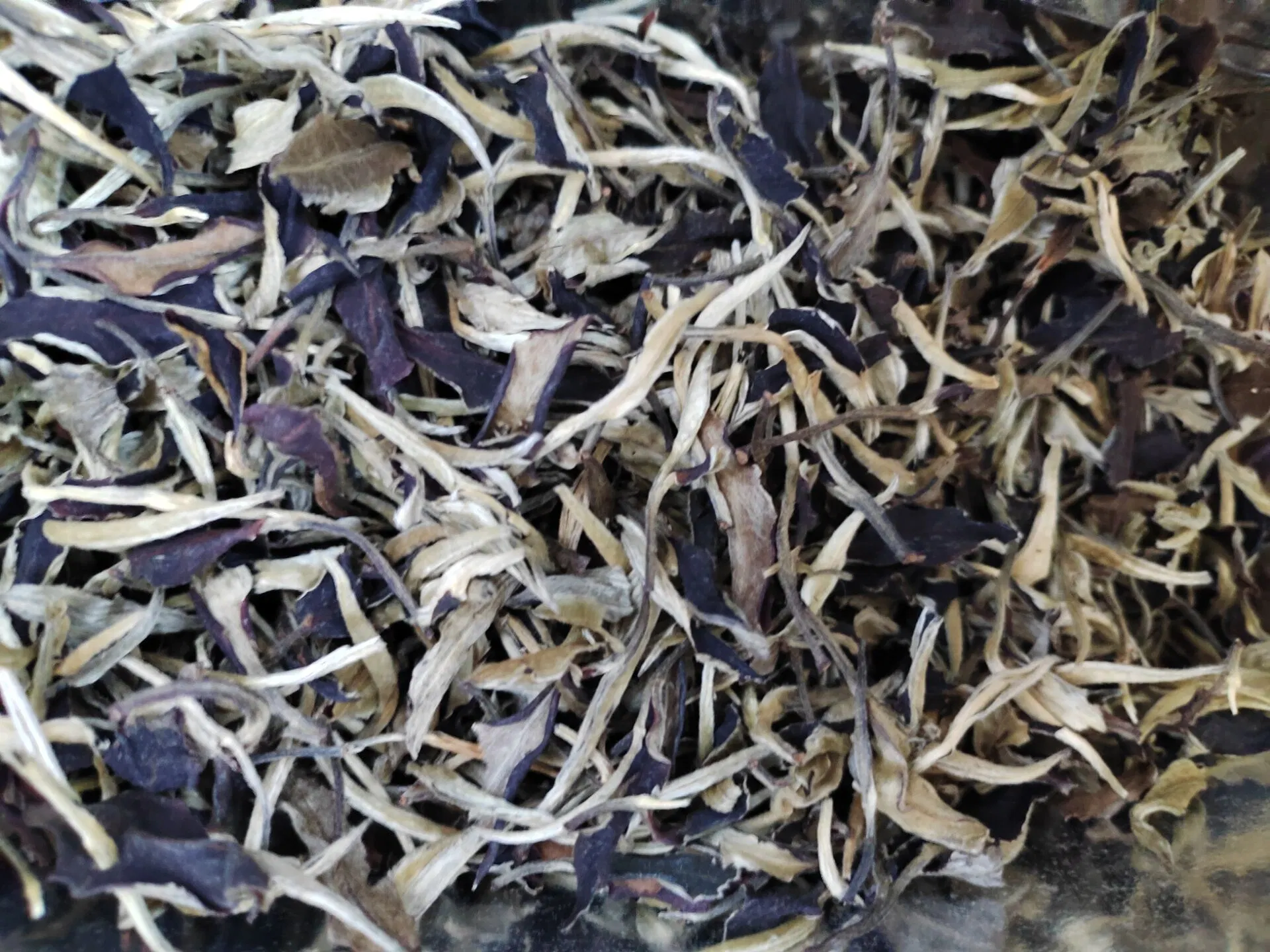 High Mountain White Tea From China (Moonlight Beauty)