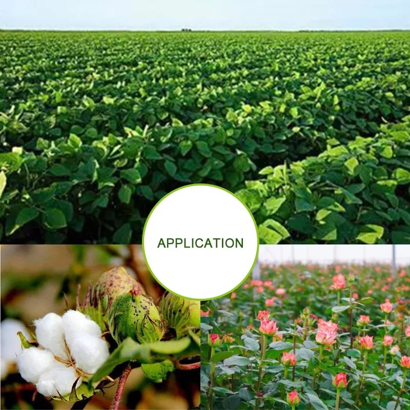 Tis-3310 Non Ionic Agrochemical Agent Botanical Pesiticide 70% Aphids Control Rate Adjuvant CAS 68002-97-1