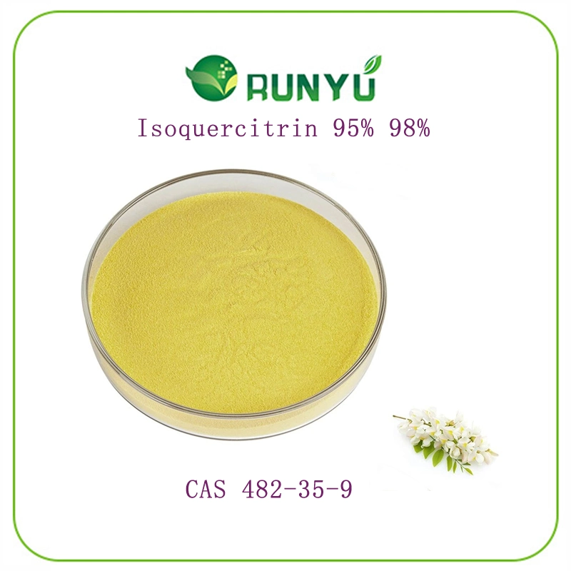 CAS 482-35-9 Food Grade 95% 98% Isoquercitrin Isoquercitrin Powder