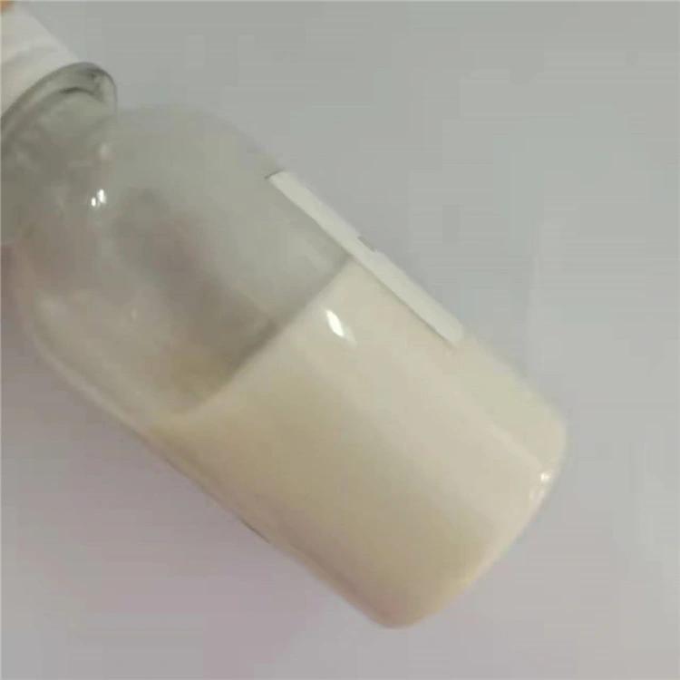 Pigments Thickener Rg-Ptr619 with High Concerntrate as Chinese Manufacturer