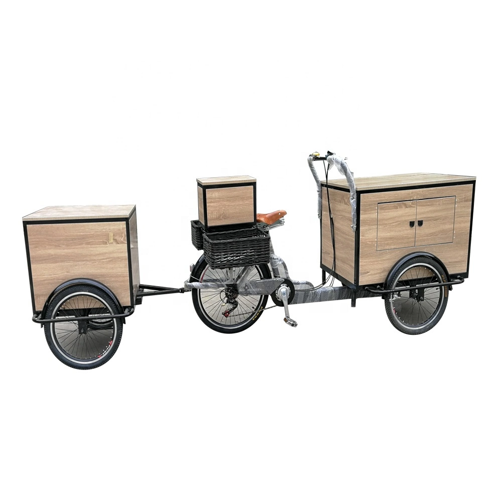 Tune Customized Electric Coffee Bike Mobile Shop Used Coffee Cart