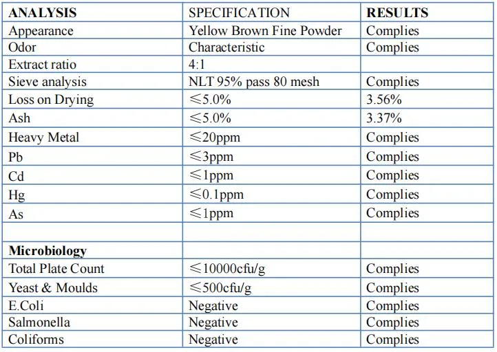 Cissus extracto en polvo con 4: 1 Cissus Repens