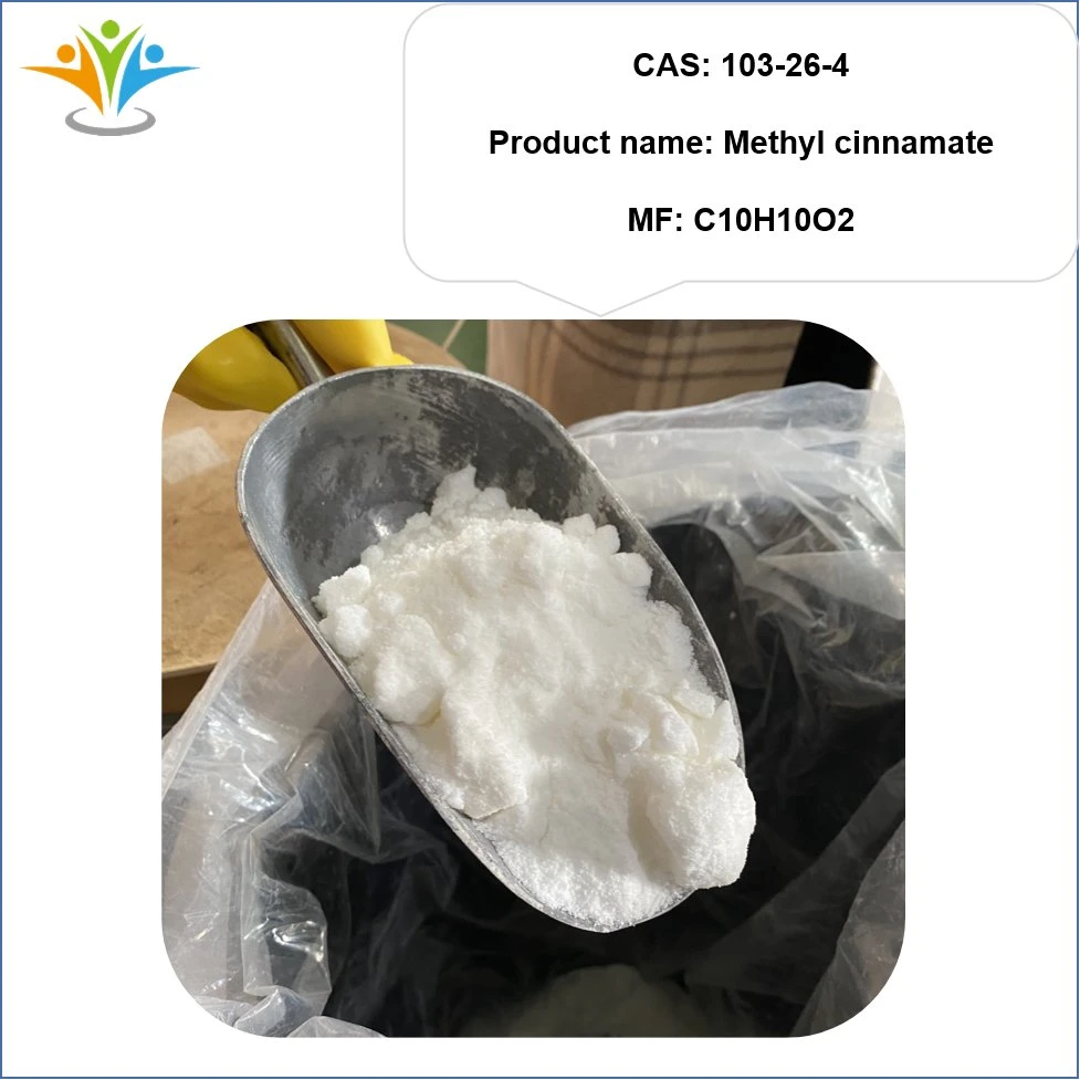 Factory Supply CAS 103-26-4 Methyl Cinnamate