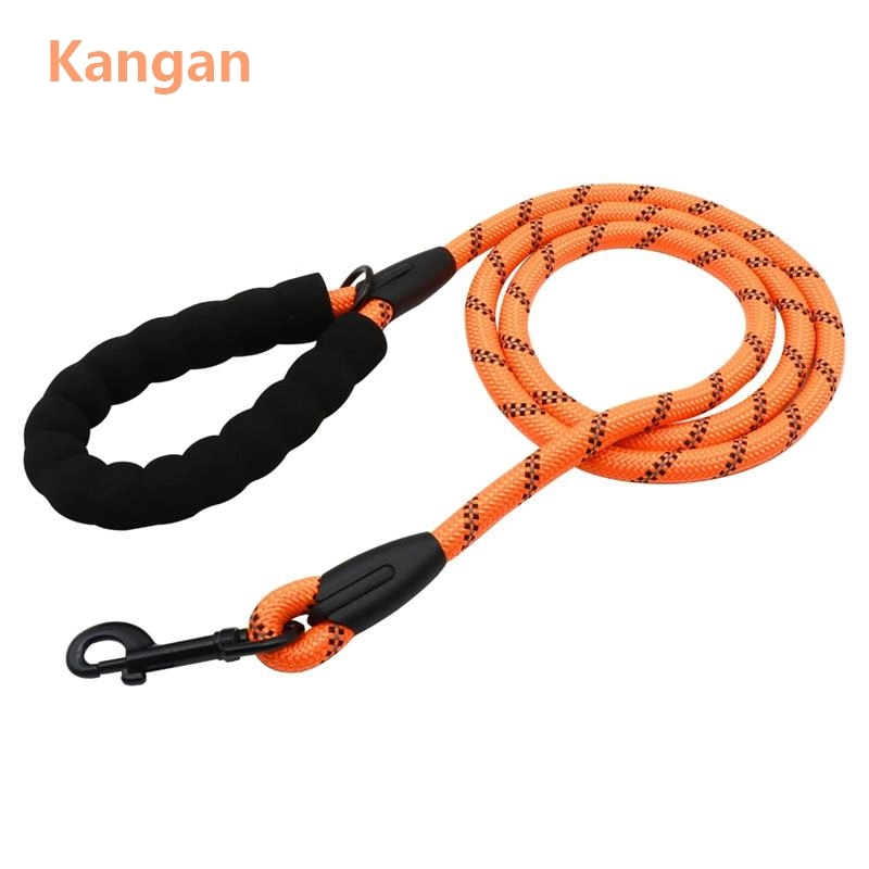 Горячие продажи E Dog Leashes прочный нейлоновый трос