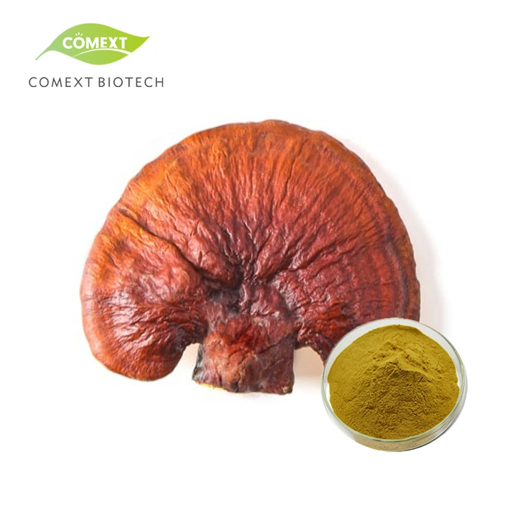 Comext ISO Fssc Halal Kosher Organic Manufacturer USA Stock Organic Reishi Mushroom Powder