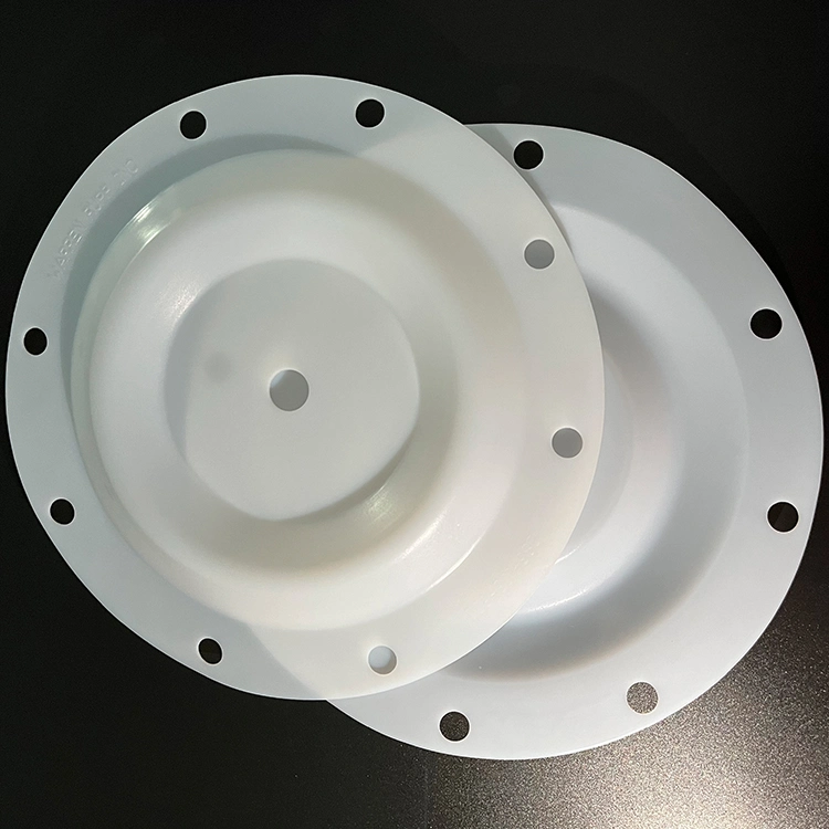 Corrosion Resistance PTFE Diaphragm Pump Accessories for Diaphragm Pump