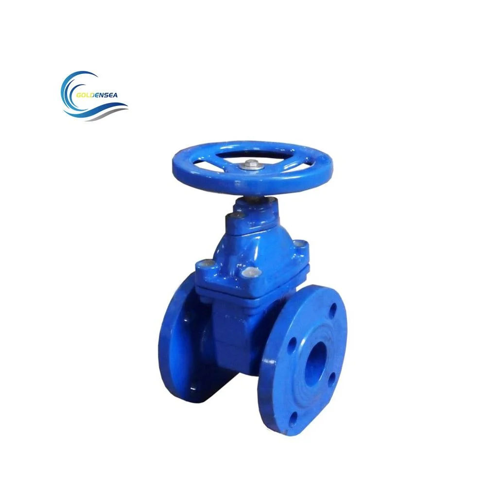 Ductile Iron Gate Valve for Pipe Pn16