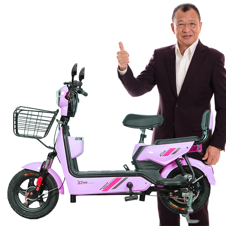 Взрослые электрический велосипед для продажи Китая на заводе