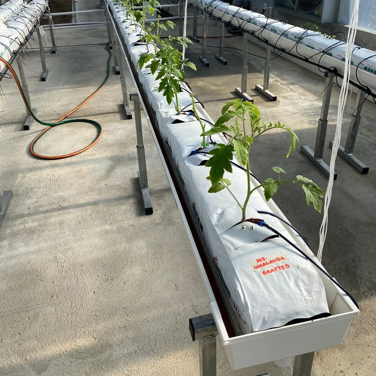 Plastic Greenhouse Agriculture with Strawberry Hyroponics Grow Systems PVC Gutter Tray