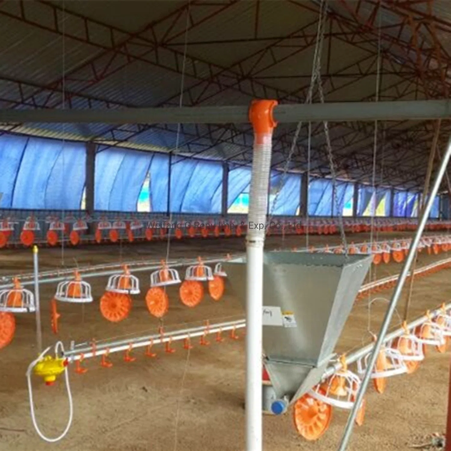 Automatic Feeder Pan Feeding System for Broiler Chicken in Poultry Farm Equipment