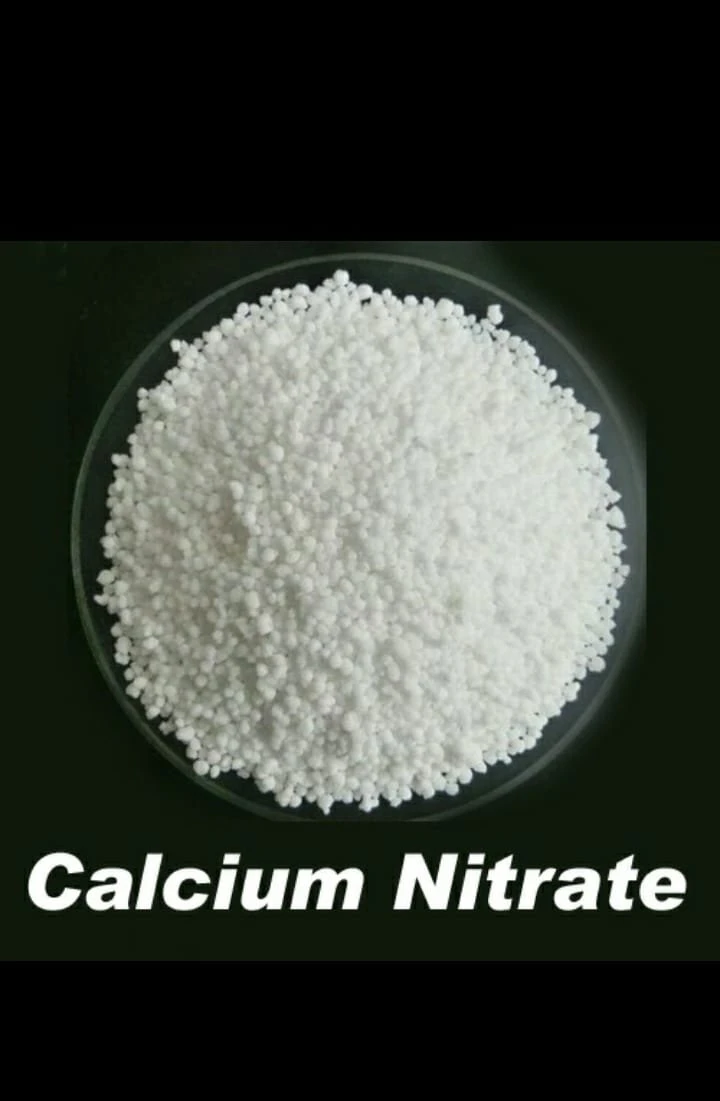 Hot Sales Fertilizer Calcium Magnesium Nitrate Granualr