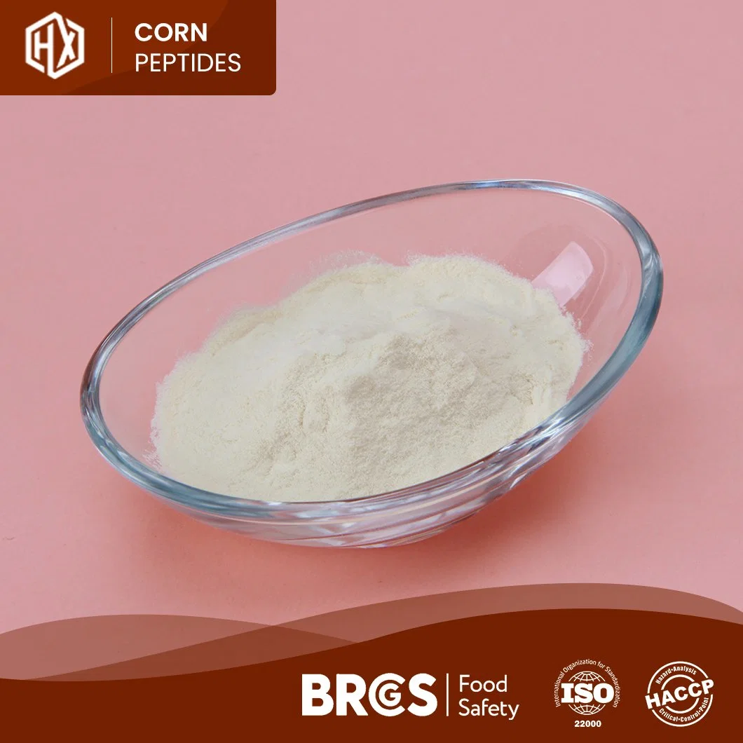 Haoxiang China Manufacturer Supply Organic Corn Protein Peptide Meal 46% 48% 50% Cornbean Protein Fiber Isolate Concentrate Powder Bulk High Purity Corn Peptide