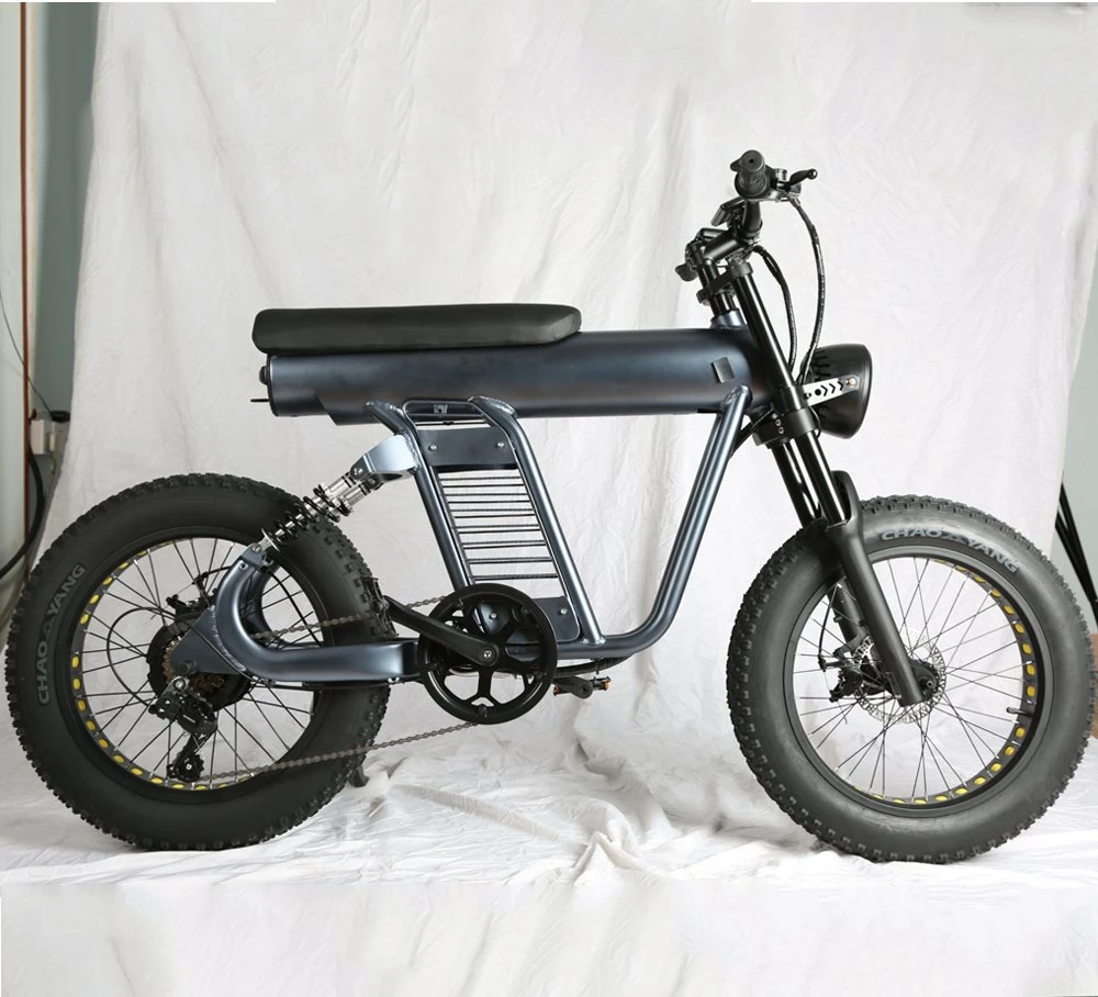 20 pulgadas 20" 48V 1000W eBike grasa de energía eléctrica asistida Bicicleta E-Bike