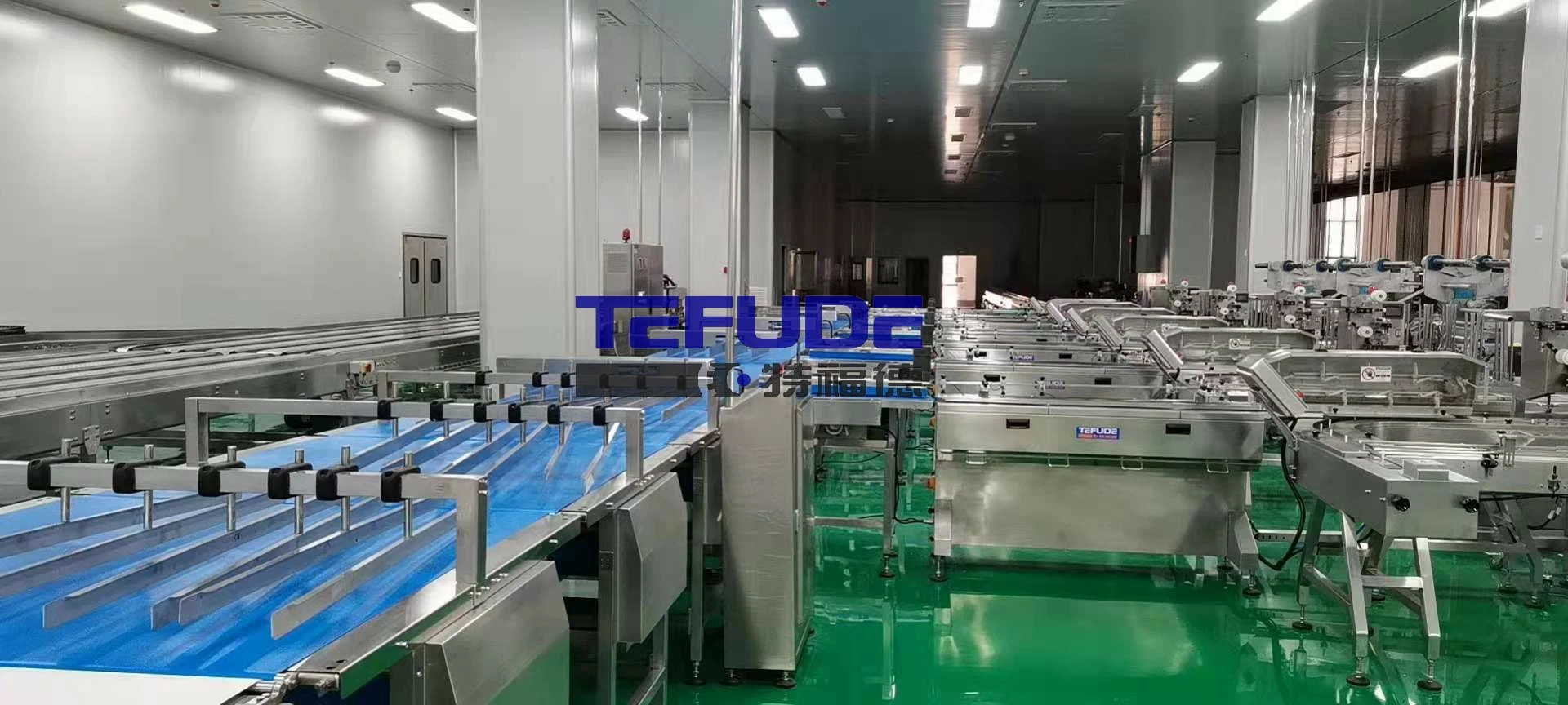 China Cup Cake Production Packaging Line Wafer Biscuits Feeding Conveyor Packing System