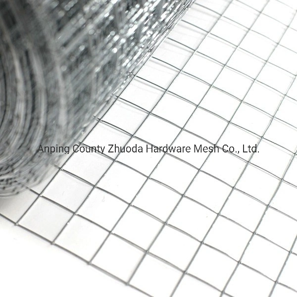 China Zhuoda Galvanized Wire Mesh Amazon Ebay Hot Sale