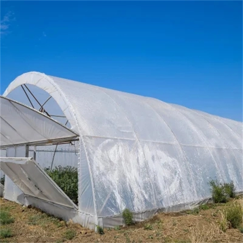 Multi Span Film Greenhouse con refrigeración/ Sombreado/riego China Supplier