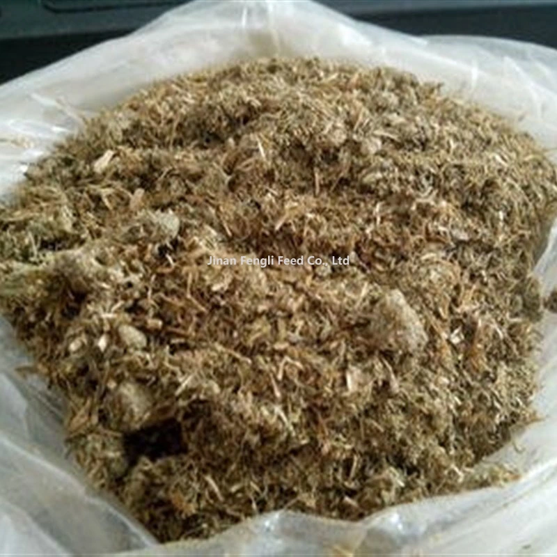 Shandong, Jinan Pure Natural Golden Chrysanthemum Extract Hochwertige Futtermittel Chrysanthemum Pollen