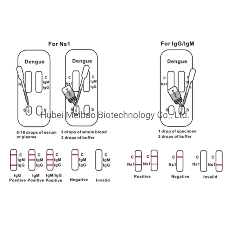Disposable Accurate Dengue Duo Ns1 / Igg/Igm Whole Blood/Serum/Plasma Rapid Test Kit