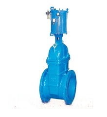 ANSI/API/ASTM/ASME/Wcb Flanged Gate Valve