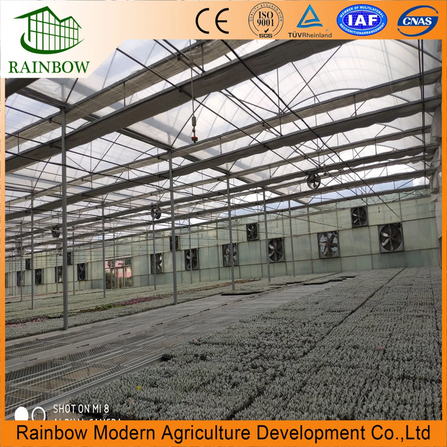 China Modern Greenhouse Cooling Pad System