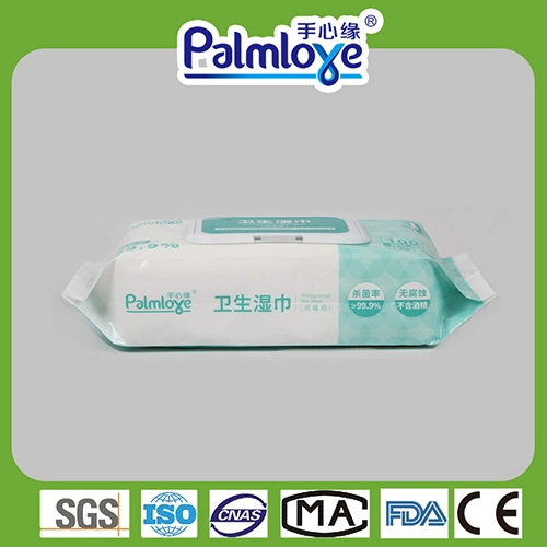 2021 Top Quality Sanitizing Household Cleaning Wipes Antiseptic 100PCS Family Pack