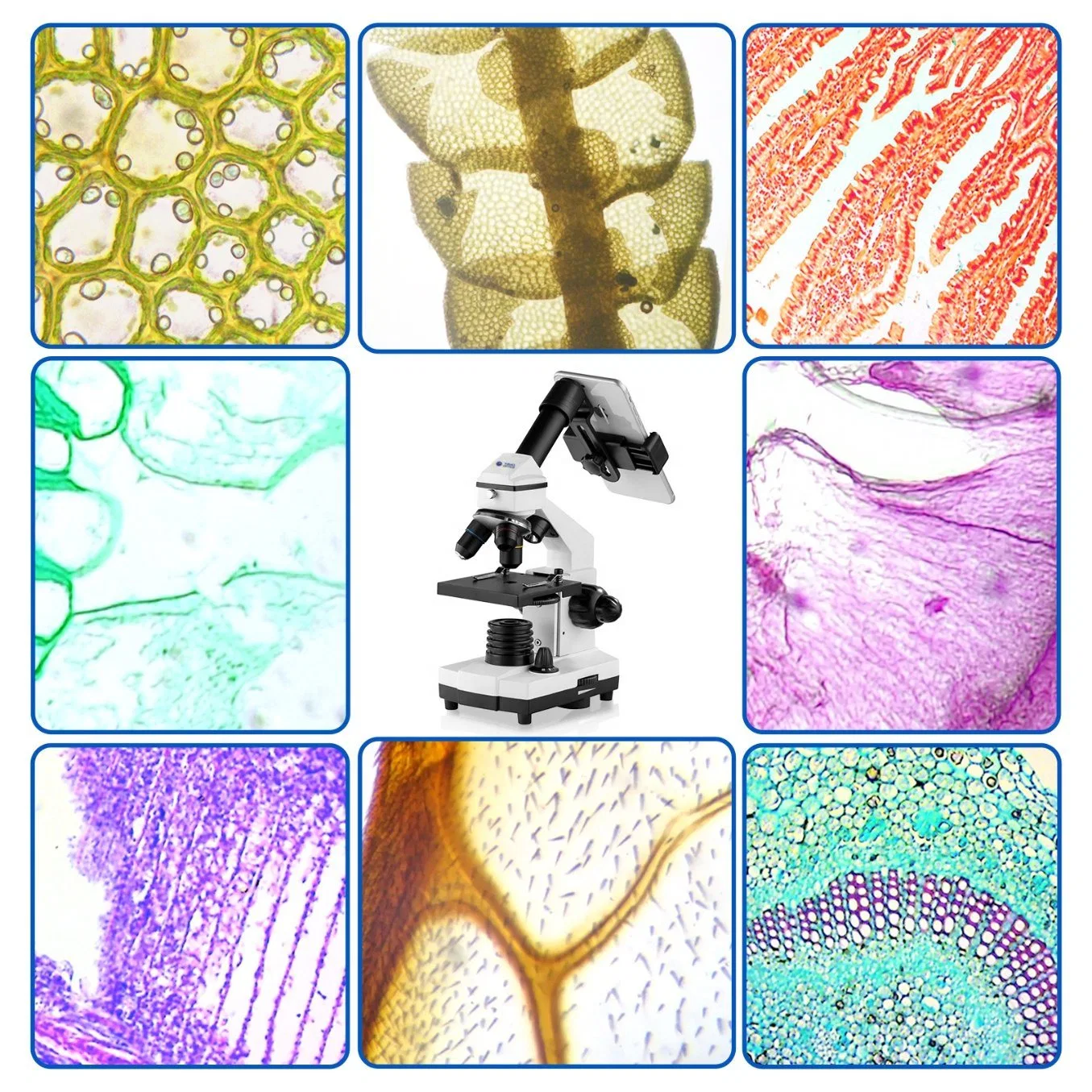 Alta satisfacción varios microscopios Monocular de recompra con trípode