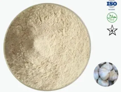 Exporter From China Dehydrated Garlic Powder