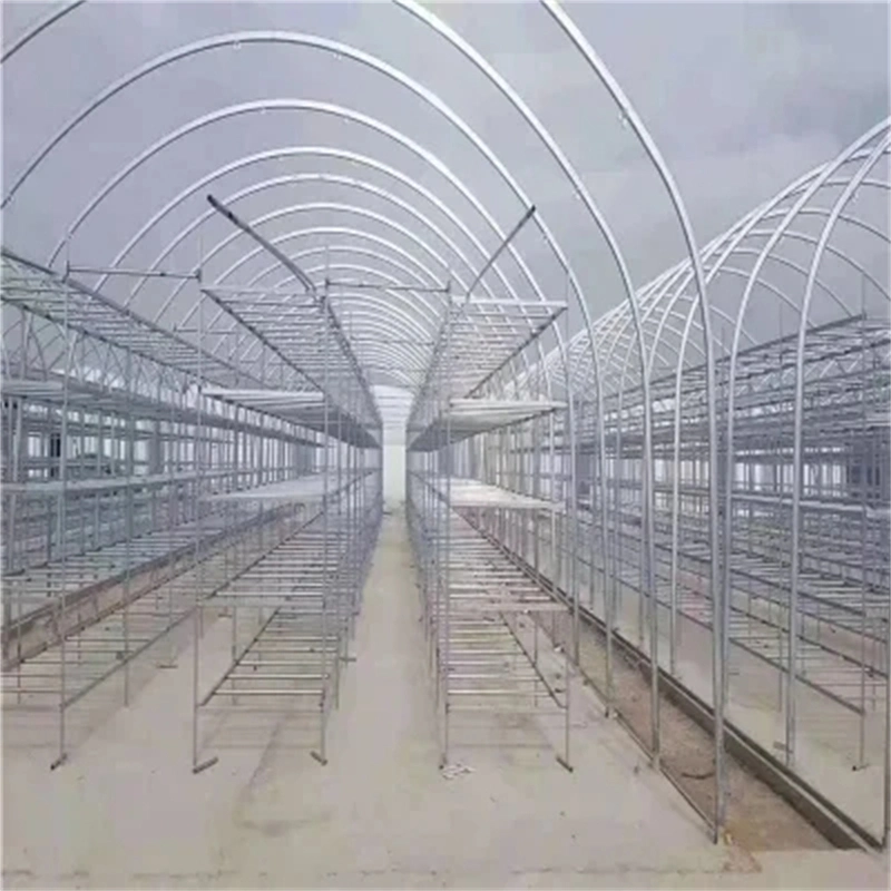 Smart Agricultural Multi Span Arch-Type Film PE Greenhouse for Vertical Farming Agriculture of Vegetables/Flowers/Tomato/Garden with Hydroponics System