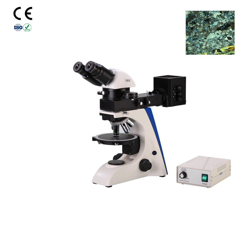 Microscópio polarizador biológico digital com preço promocional