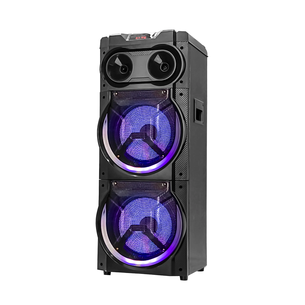 2022 Amaz Dual 10 Inch New Model Woofer Digital Amplifier System Trolley Speaker