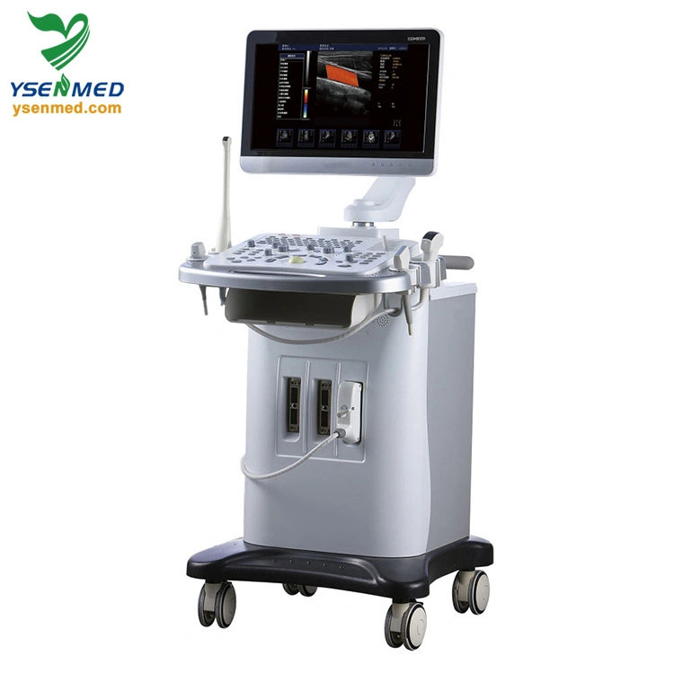 Ysb6000PE Medical Trolley 3D 4D Color Doppler Ultrasound Scanner Medical Equipment