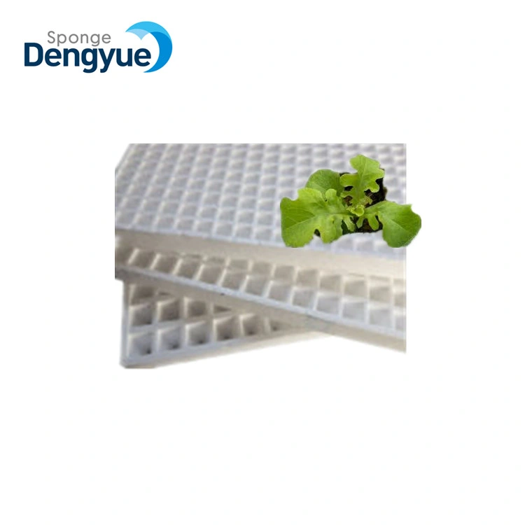 Light Weight Waterproof 200 Cells Hydroponic Polystyrene Seedling Trays