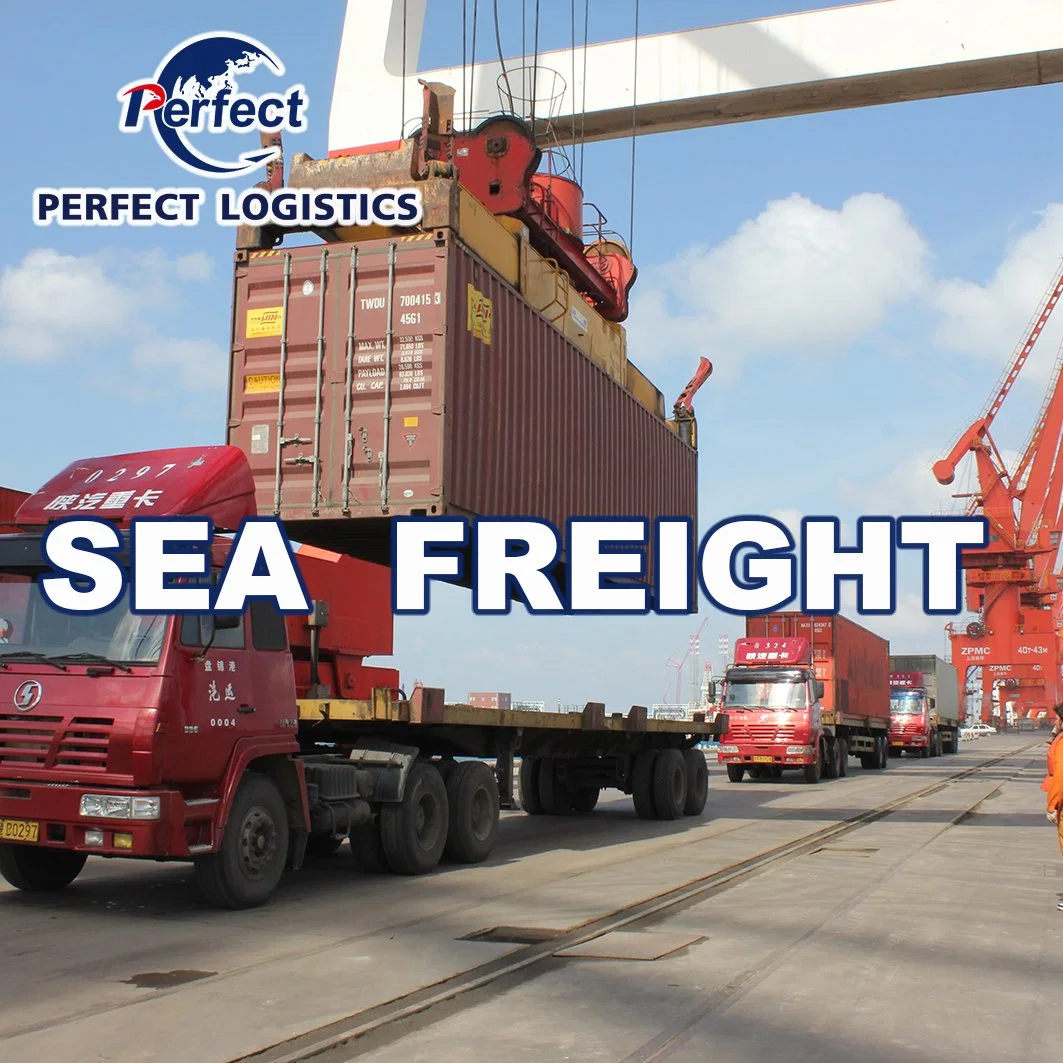 DDP Freight Service China to Saudi Arabia Door to Door Shipping Sea Freight