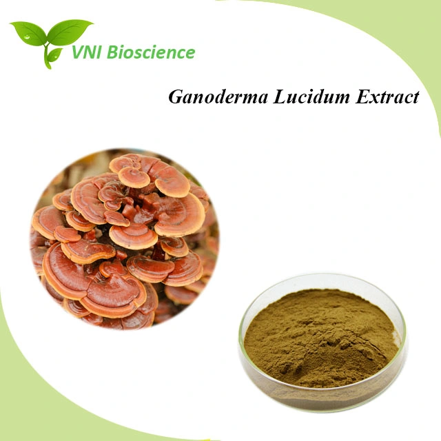 Kosher Certified 100% Natural Polysaccharides Reishi Extract