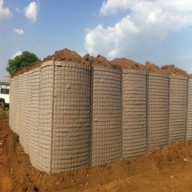 Hot Selling Galvanized Explosion-Proof Wall Wire Mesh Gabion Cage