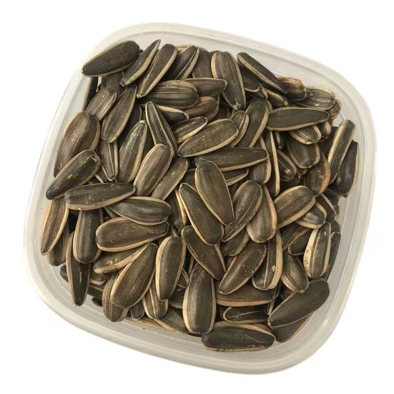 Big Size China 361 Sunflower Seeds