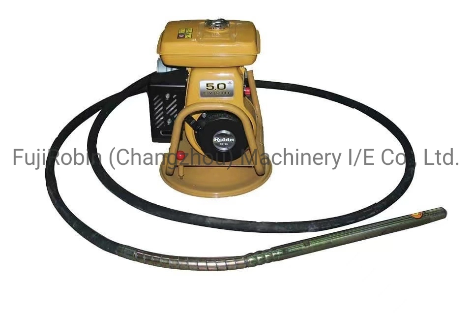 Hot Sale for Vibrator Concrete/Vibration for Concrete in Changzhou Factory with Gasoline Engine Ey20